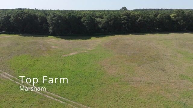Top Farm Marsham