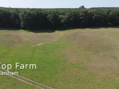 Top Farm Marsham