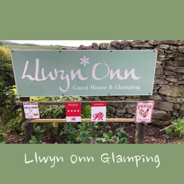 Glamping at Llwyn Onn
