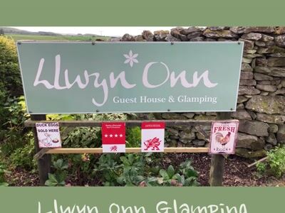 Glamping at llwyn onn