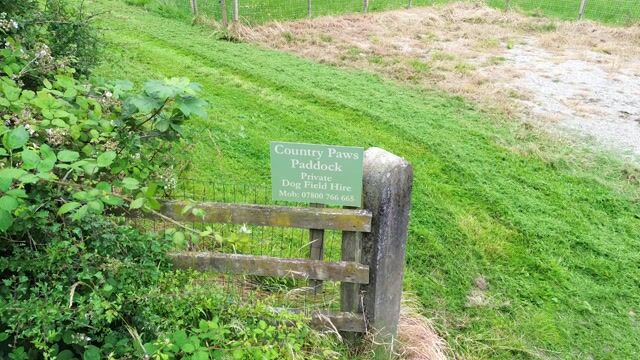 Dog Field
