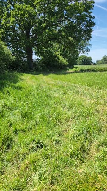 Surrounding landscape and entrance to River Field. Off the beaten track!