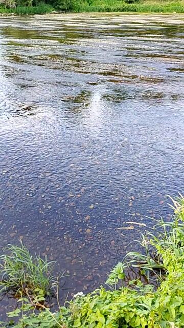 la rivière pour se baigner