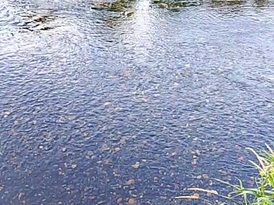 The river for swimming
