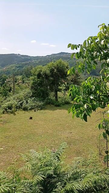 Surrounded by nature