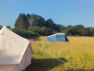 Tents in a grassy field