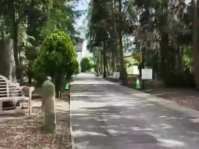 Chemin à travers les arbres