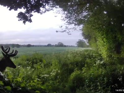 Faune locale!