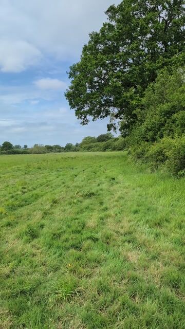 Choose where to pitch! With max of 45 pitches on site is possible for nearly 1/2 acre per pitch!