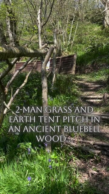 Forest floor 2-man pitch in an ancient bluebell wood