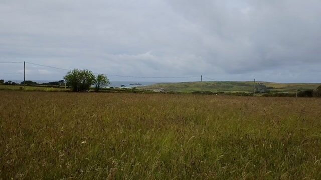 View of the campsite