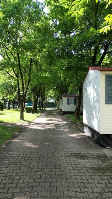 camping