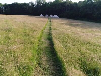 Widok na windmill hill meadows