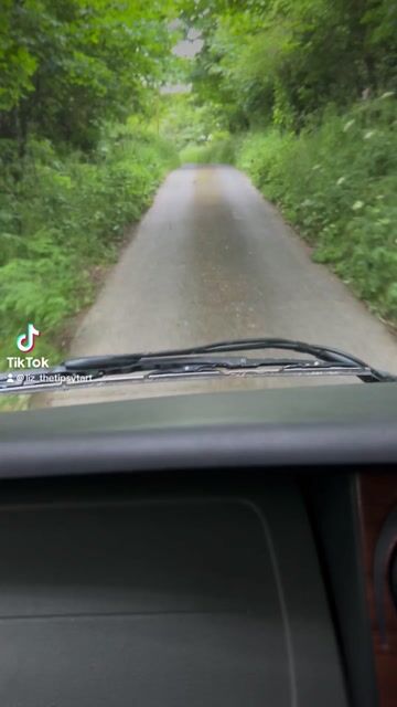 Drive up the lane to Treseissyllt Farm and Camping Pembrokeshire
