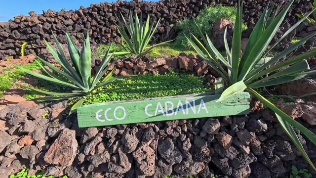 The Green Eco cabin
