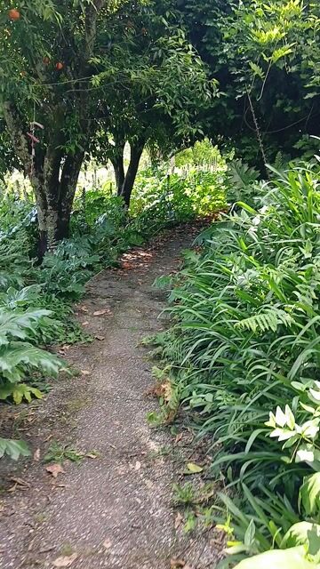Surrounded by nature