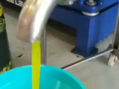 Production d'huile d'olive