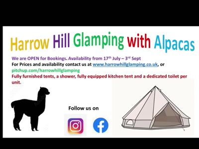 Glamping booking information flyer