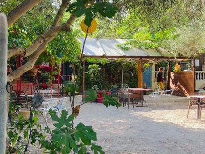 Shaded restaurant terrace