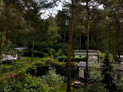 Campingplads i en skov