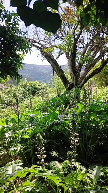 Surrounded by nature
