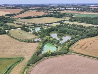 Lac Kingfisher