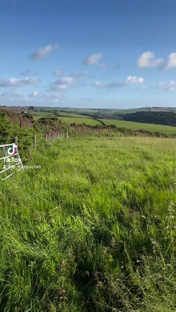 Views down the track from the campsite overlooking the sea