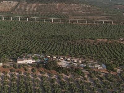 Complexo glamping rodeado por oliveiras