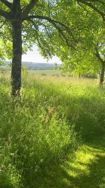 Walk through the wildflower meadow here in the grounds
